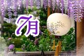 国分寺・立川・八王子風俗エステ 魅惑の官能アロマエステEureka!八王子～エウレカ!～ 美澄　はるか