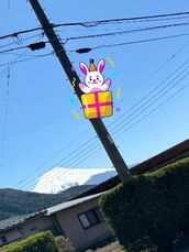 池袋・大塚風俗エステ 池袋㊙エステフル勃起 南野りい