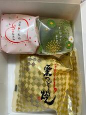 梅田風俗エステ 梅田ムチSpa女学院 【朝倉 あん】