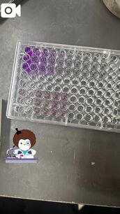 難波風俗エステ NADIA心斎橋店 天音　さき