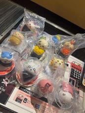 日本橋風俗エステ 新ハイブリッドエステエクスタシーPlus 白石ももな