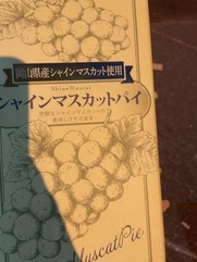 京橋・桜ノ宮・都島風俗エステ 玉乱堂 じゅん