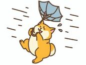 国分寺・立川・八王子風俗エステ 魅惑の官能アロマエステEureka!八王子～エウレカ!～ 美澄　はるか