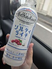 名古屋市内その他風俗エステ THE ESUTE HOUSE 柴田 ゆの