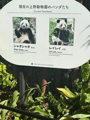 品川・五反田・蒲田風俗エステ 五反田 必要以上のエステ 宮野しほ