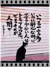 新宿・新大久保・高田馬場風俗エステ 新宿泡洗体ハイブリッドエステ 海（うみ）