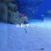 新宿・新大久保・高田馬場風俗エステ 新宿泡洗体ハイブリッドエステ 乃愛（のあ）