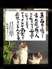 新宿・新大久保・高田馬場風俗エステ 新宿泡洗体ハイブリッドエステ 海（うみ）