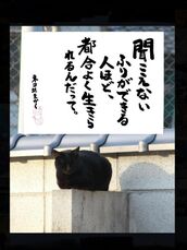 新宿・新大久保・高田馬場風俗エステ 新宿泡洗体ハイブリッドエステ 海（うみ）
