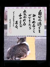 新宿・新大久保・高田馬場風俗エステ 新宿泡洗体ハイブリッドエステ 海（うみ）