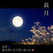 横浜・新横浜・川崎風俗エステ Mrs. Dandy Haneda 冨永かがり