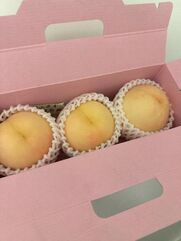 谷町九丁目風俗エステ 新ハイブリッドエステエクスタシーPlus 白石ももな