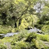 京橋・桜ノ宮・都島風俗エステ 玉乱堂 アリス