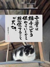 新宿・新大久保・高田馬場風俗エステ 新宿泡洗体ハイブリッドエステ 海（うみ）