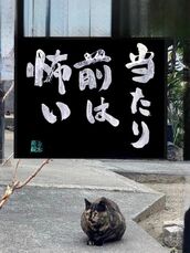 新宿・新大久保・高田馬場風俗エステ 新宿泡洗体ハイブリッドエステ 海（うみ）