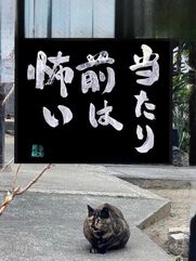新宿・新大久保・高田馬場風俗エステ 新宿泡洗体ハイブリッドエステ 海（うみ）