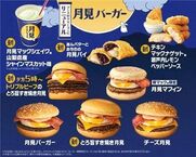 名古屋市内その他風俗エステ THE ESUTE HOUSE 柴田 みなみ