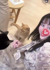 納屋橋風俗エステ HERMITAGE（エルミタージュ） ももえ