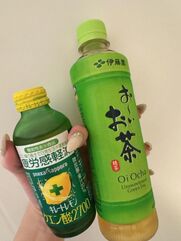 梅田風俗エステ 新ハイブリッドエステエクスタシーPlus 白石ももな