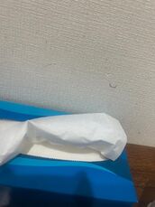 河原町・祇園・木屋町風俗エステ エステNADIA京都店 中島　ももか